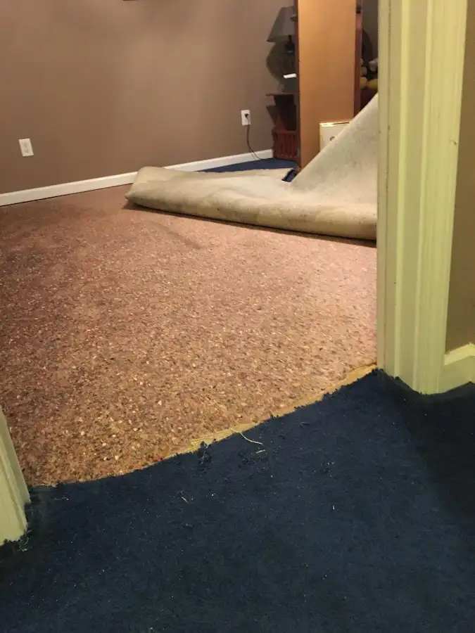 Carpet pad removal revealing water damage during Water Mitigation Services in Stroudsburg