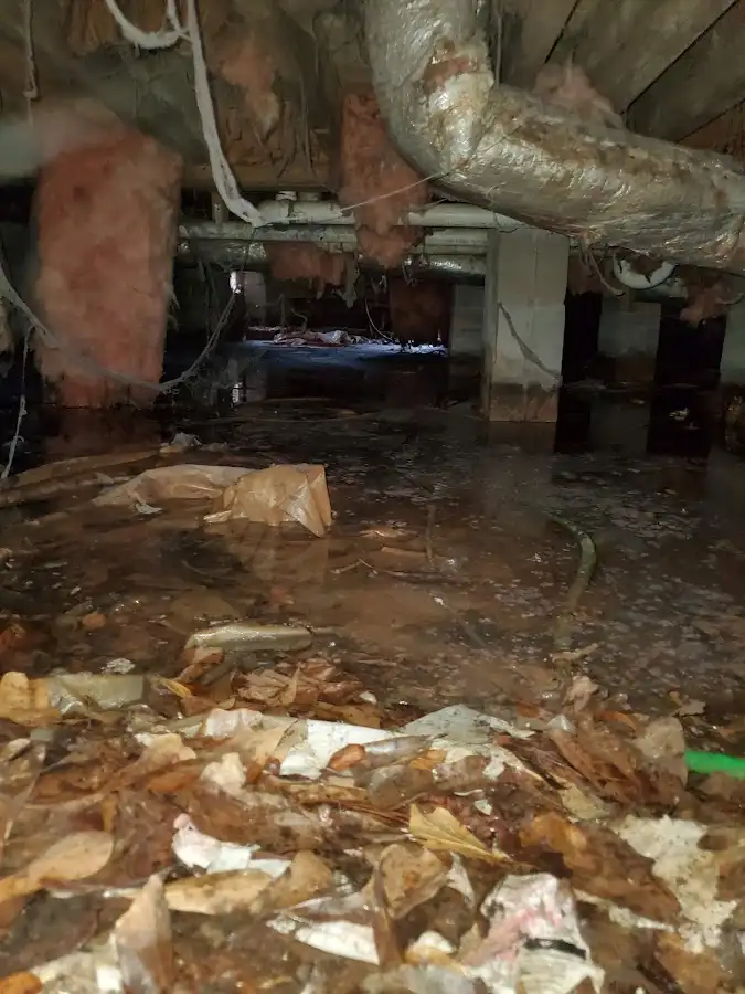 Crawl space flood assessment for Leak Detection & Repair in Stroudsburg