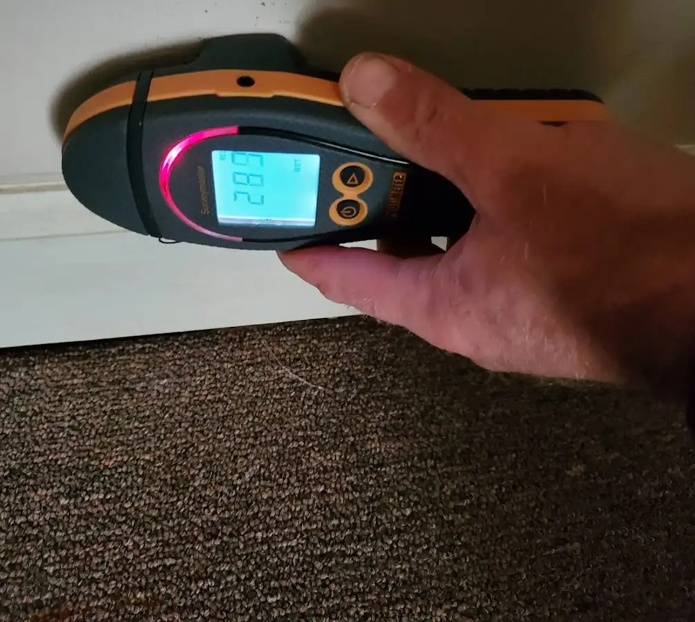 Moisture detection at baseboard during Sewage Cleanup & Sanitation in Stroudsburg